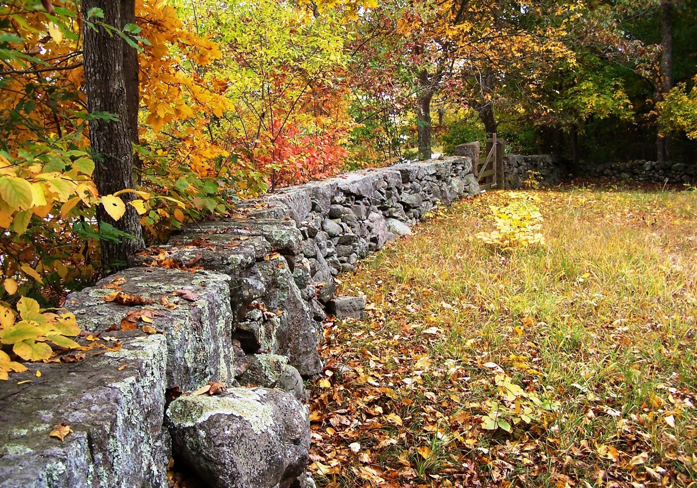 stone wall in new england