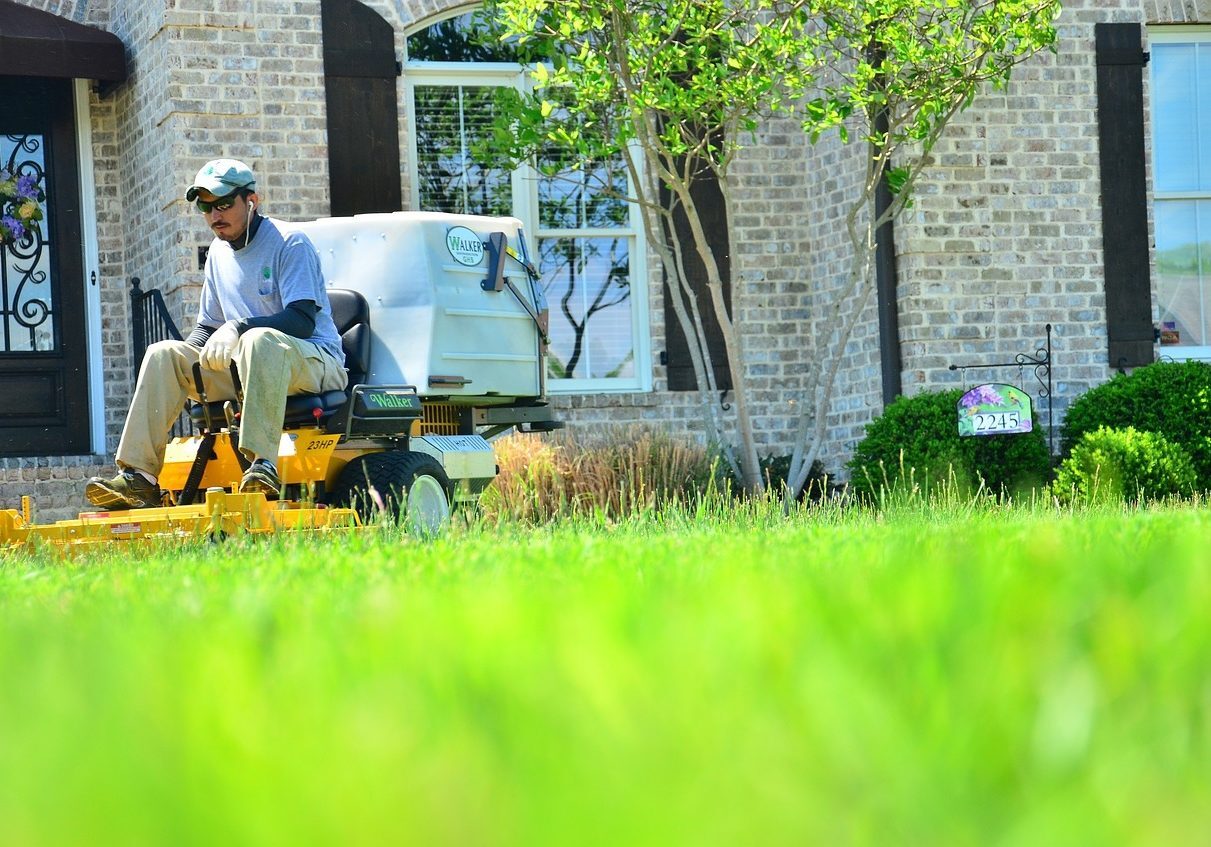 lawn-care-643562_1280-landscape LAWN CARE